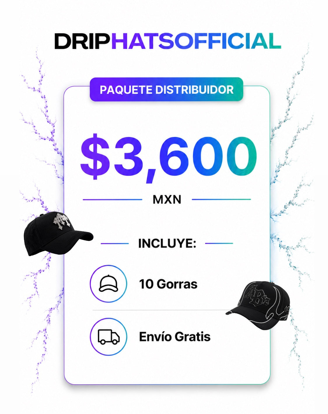 Paquete Distribuidor